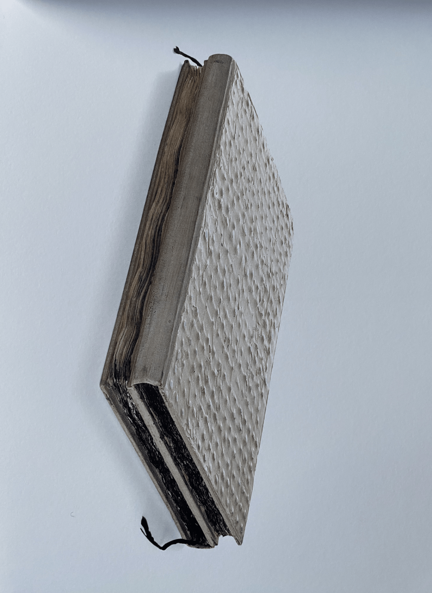 Unikatbücher Tone Fink